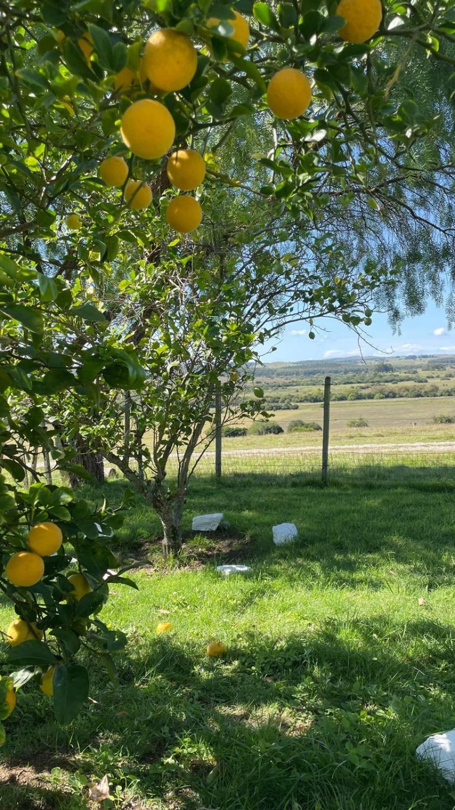 Affittacamere La Chacra Minas Esterno foto
