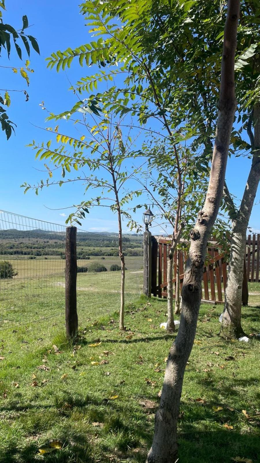 Affittacamere La Chacra Minas Esterno foto