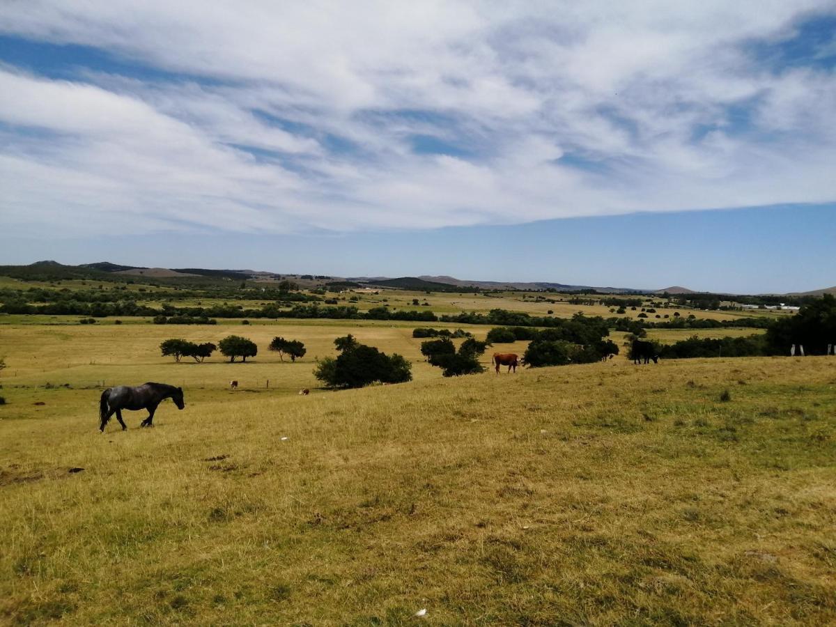 Affittacamere La Chacra Minas Esterno foto